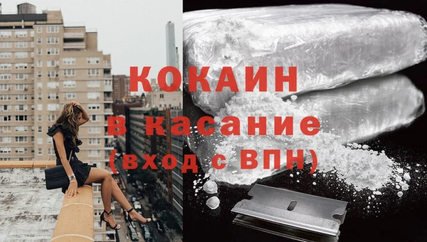 гашик Белокуриха