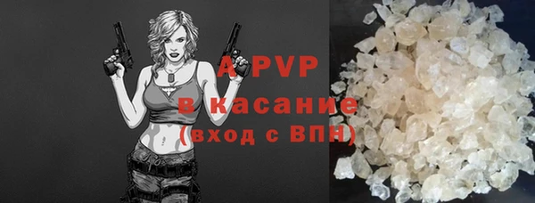 гашик Белокуриха