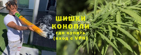 гашик Белокуриха