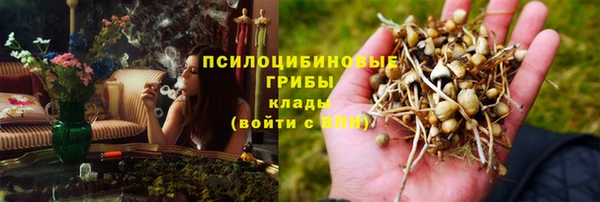 гашик Белокуриха