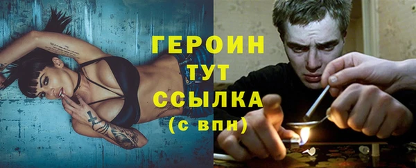 индика Каменка